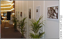 photo exhibit